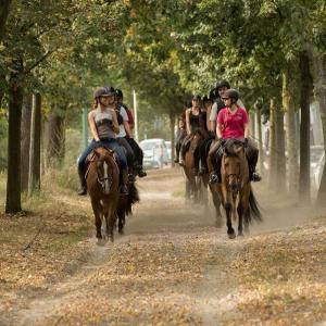 Appartements Studio neuf cosy entre Paris et Disneyland : photos des chambres