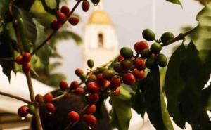 Bela Casa com 03 Quartos na Serra -Festival do Café e Circuito do Frio