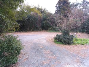 Ogawaya Ryokan - Vacation STAY 15998v