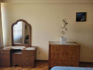 Comfortable apartment in the South Zone