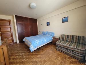 Comfortable apartment in the South Zone