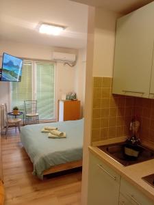 Calvin Apartment 9