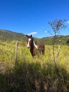 Apartamento ponto privilegiado