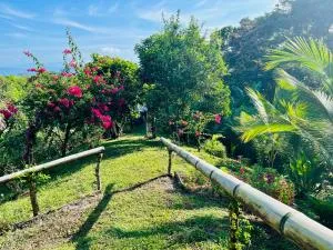 El Cerrito - Puerto Jiménez