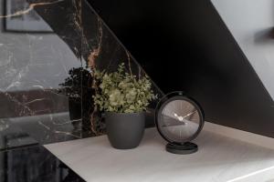 Loft 61 with free parking