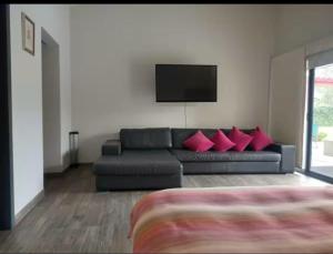 CASA MOSHI