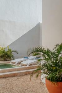 Casa Mara 53 Luxury House in downtown Mérida