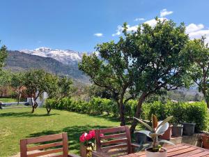 Mio Monte Apartments - Free Parking and Wi-Fi - Calm, Garden, See and Mountain View, Tivat - Porto Montenegro 2km