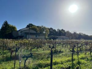 Appartements Domaine Saint Pierre : photos des chambres