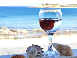 Lily of Crete 2 - Sea & Beach front Apartment