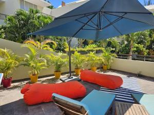 Play - Swim - Dive - Relax - Seaside Recharge