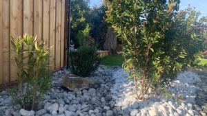 Maisons de vacances Sun Oasis Le Cocon : photos des chambres