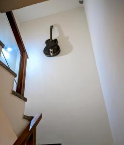 The Moonlight Meadows