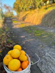 Apartment Green House