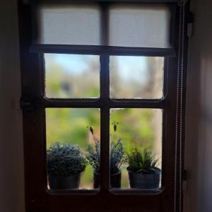 Maisons de vacances Gite Coume a Case, Pyrenees Atlantiques : photos des chambres