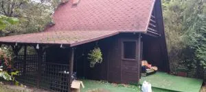 Zofiówka las - Wolbórz