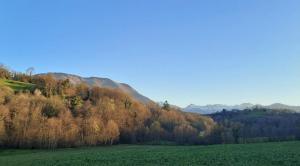 Maisons de vacances Gite Coume a Case, Pyrenees Atlantiques : Maison de Vacances