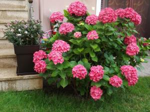 Yasoo Holiday Apartments