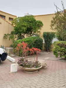 Appartements Maison climatisee Plage a 100 m Proche du Lydia : photos des chambres