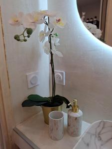 Appartements Suite Familiale pres de Disney ! : photos des chambres