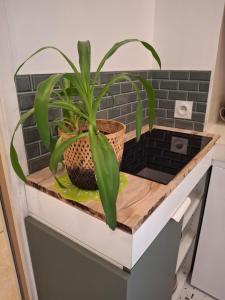 Appartements Suite Familiale pres de Disney ! : photos des chambres