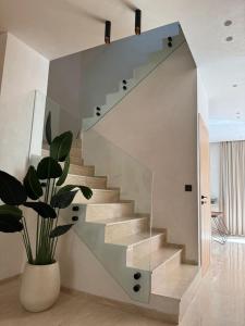 Villa Camélia piscine chauffée avec 5 suites, 10" hivernage