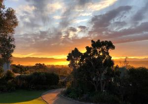 The Studio in Knysna