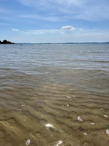 Exclusive Wellness House with Jacuzzi and Sauna, 10 Gardens