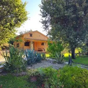 LOS TASAJILLOS, Vivienda de uso Turístico - Candeleda