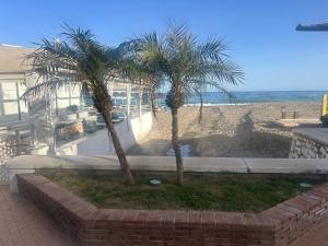 Golden dreams of Fuengirola