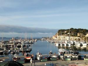 Appartements Pied a terre, sejour idyllique face a la mer classe 2 etoiles : photos des chambres