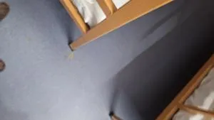 A B SINGH homestay - Varanasi