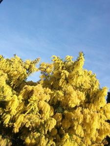 Appartements Pied a terre, sejour idyllique face a la mer classe 2 etoiles : photos des chambres