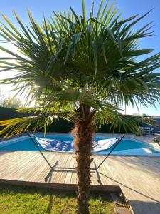 Maisons de vacances Villa Coco - Prestations haut de gamme : photos des chambres