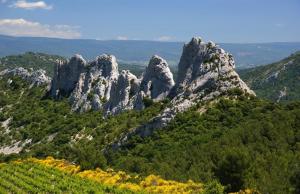 Villas Le Mazelli des Dentelles - Vue Panoramique : photos des chambres