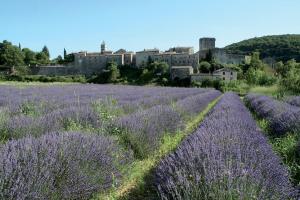 Maisons de vacances Aux portes de l-Ardeche et des Cevennes : photos des chambres