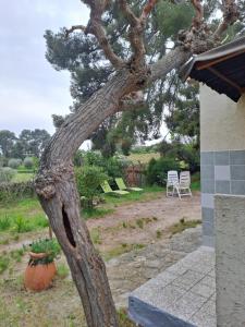 Maisons de vacances Gite 