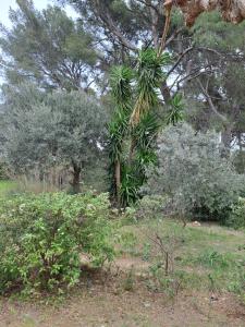 Maisons de vacances Gite 