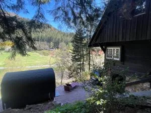 Black Forest House - Erdlinsbach