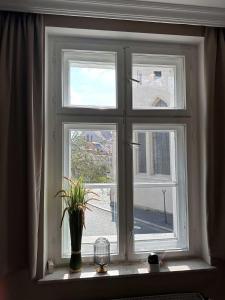 Altstadt Apartment Zittau - stilvolle familienfreundliche Ferienwohnung 78qm am Zittauer Museum und Zittauer Gebirge im Herzen der Oberlausitz mit eigenem Parkplatz ideal zum Wandern im Dreiländereck