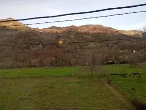 Apartamentos Picos de Europa - Caño