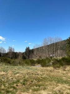 Appartements LES COEURS DU TILLEUL : photos des chambres