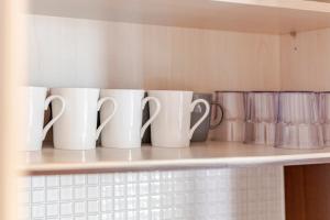 2 BR in Downtown BTS Chitlom BKK