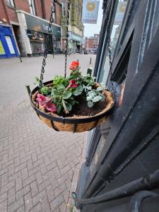 Central Chambers Suites Suite 3