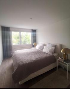 Lake view and access designer apartment