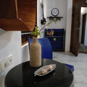 The Blue Whale - spacious 2-3 BHK Penthouse 8 pax