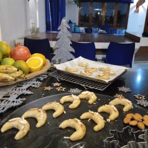 The Blue Whale - spacious 2-3 BHK Penthouse 8 pax