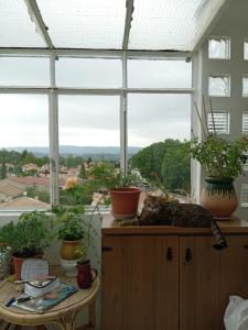 Appartements T3 campagne d-Aix-en-Provence : photos des chambres