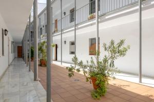 Monsalves Patio, céntrico y con garaje gratis