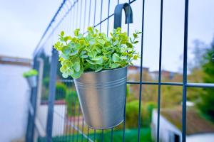 Appartements ValenStay - Duplex Stade du Hainaut avec terrasse : photos des chambres